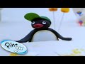 Pingu And The Birthday Pingu Official Channel