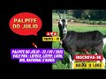 GUESS OF THE DAY 09 22 2025 ANIMAL GAME EASY RESULT