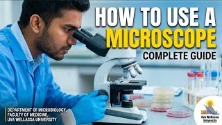 How to use Microscope