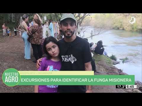 #NuestroAgro: Realizaron el Festival de la Funga en Ruiz de Montoya