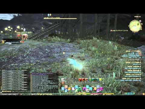 FFXIV Leave【Camp Tranquil】誘導任務：ゴブゴブ行商護衛