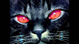 adrian younge & venice dawn - turn down the sound