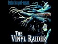 TheVinylraider - This is not Real