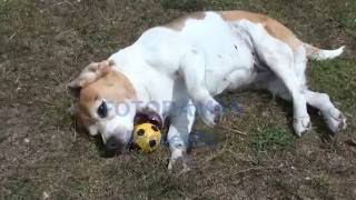 Małgosia i burza (Reamonn - Sunshine Baby)