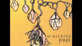 Mimicking Birds - Pixels