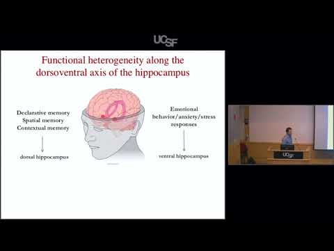Deconstructing Hippocampal Circuits That Control Emotional Behavior