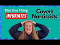 What Infuriates a Covert Narcissist More Than Indifference?