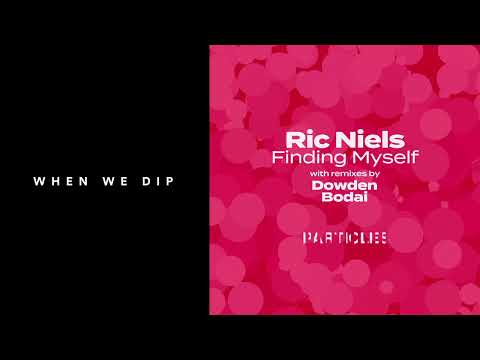 Premiere: Ric Niels - Reasons (Dowden Remix) [Particles]
