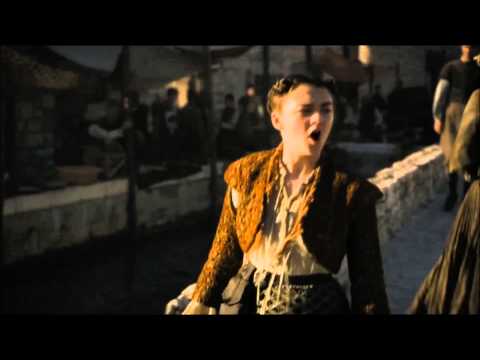 Oysters Clams and Cockles!!