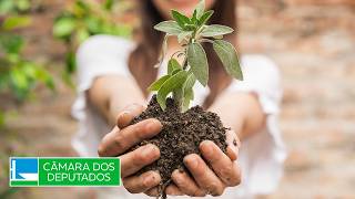  Discussão e votação de propostas legislativas - 12/08/2026 10:00
