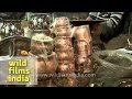 Utensils shop in Varanasi 