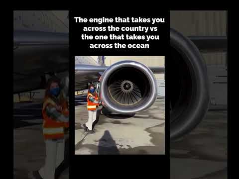 Test Recruiter Live portfolio video1