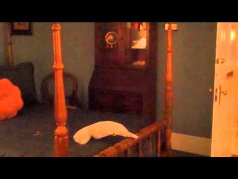 Duff Green Mansion Video 3