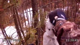 Rabbit hunt  long rifle 22 Trunk Road Alberta part 1