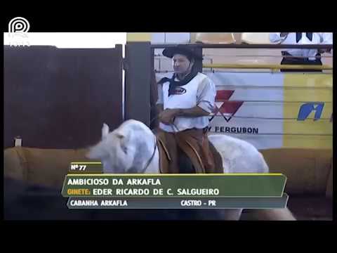 Classificatória Região SC/PR – 1° lugar machos – Ambicioso da Arkafla (Prova: Mangueira II)