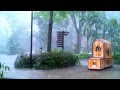 Singapore Tropical Storm