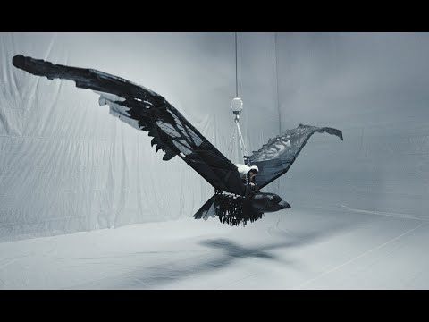 Tsar B - Amor (official video)