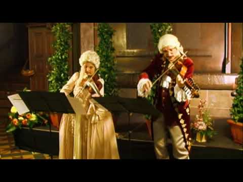 Viola D`amore - Duo Aliquot im Alten Rathaus Göttingen