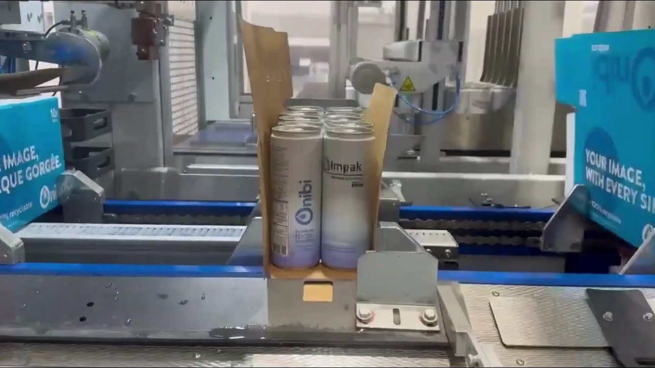 SMI WPS 600R Case Packer