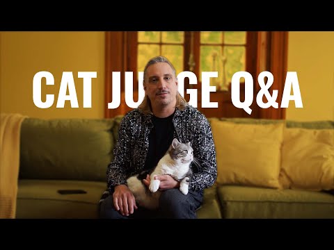 Cat Judge Q&A - Questions to a Cat Judge I LCWW