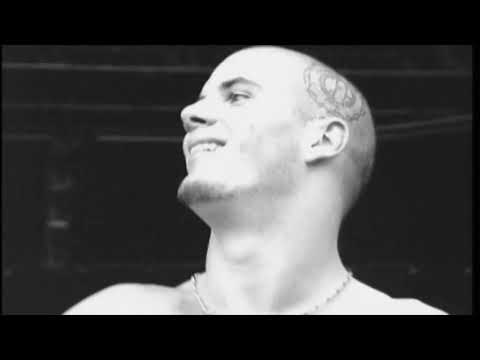 ▷▶Pantera - Live at Moscow Monsters of Rock [1991]