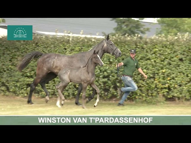 WINSTON VAN T'PARDASSENHOF