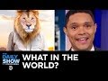 What In The World The Daily Show