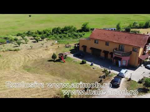 Imobiliare Arad, Hale in Judetul Arad