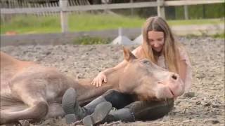 Postcards from my ♥