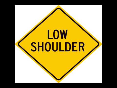 Through The Trees - Low Shoulder  (Ryan Levine)