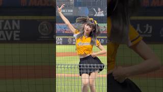 【維尼 】岳政華應援曲#PassionSisters#台湾チアリーディングチーム チーム#中華職棒#CPBL#洲際#20240927