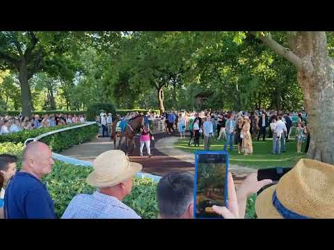 100. Magyar Derby - jártatò