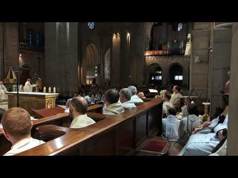 Kazanie kard. Grzegorza Rysia na 1 stycznia 2026.