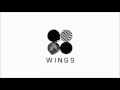 Full Album 방탄소년단 BTS WINGS 2nd Full Album