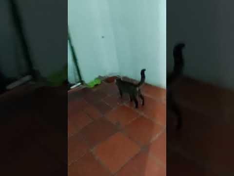 24 de agosto de 2025