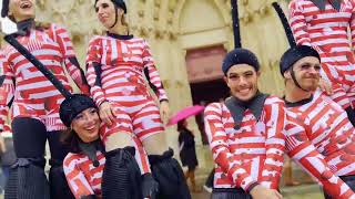 Afozic, Aperçu Vidéo