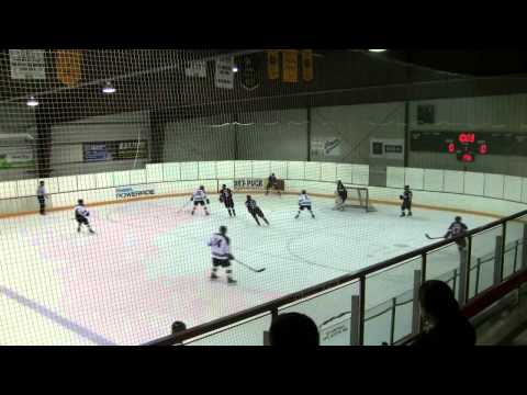 1997 MN Blades in the 2011 North American Hockey Classic in Winnipeg