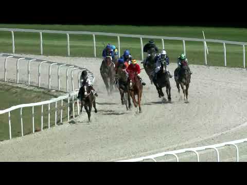 2018.04.22. 1. futam - BÁRÓ WENCKHEIM BÉLA EMLÉKVERSENY HENDIKEP (V/b.) (szintetikus pálya)