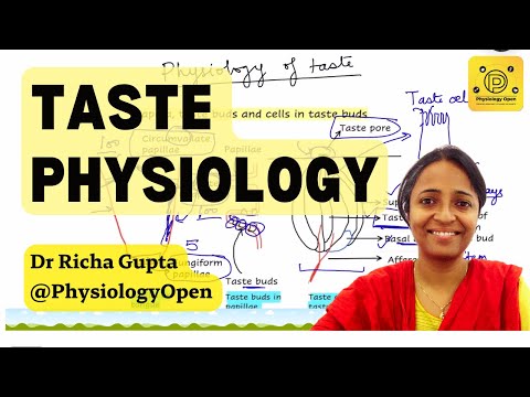 Special senses physiology taste