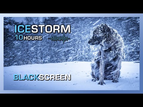 Ice Storm | Sleet and Freezing Rain Ambiance | Black Screen | Sounds for Sleeping | 10 Hours