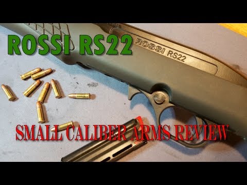 Rossi RS22 Inexpensive beginner Semi Auto Plinking rifle.
