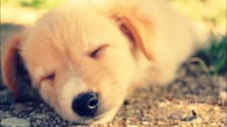 Project 46 feat. Seri - Motionless (Original Mix)