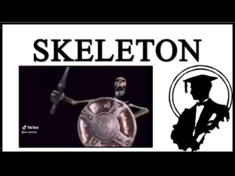 Skeleton Banging On Shield Is From Skyrim