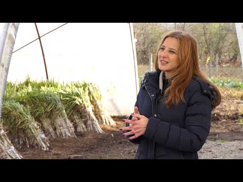 Biram selo ep. 49 - Povrtarstvo, Lozovik  - 04.12.2019