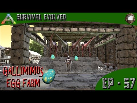 ARK: Survival Evolved - GALLIMIMUS EGG FARM - Series Z - EP-57