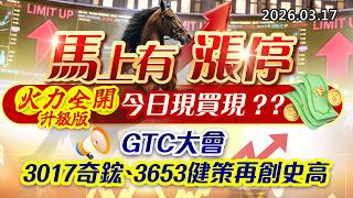 20260317《股市最錢線》#高閔漳 ” 馬上有漲停，火力全開升級版，今日現買現？？”” GTC大會，3017奇鋐、3653健策再創史高”