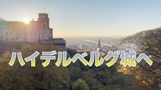 【ハイデルベルグ観光 ②】  いざ、ハイデルベルグ城へ ！ ハイデルベルグ城までの行き方〜お庭からの景色を紹介