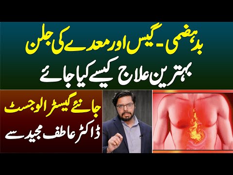 Badhazmi, Gas Aur Maday Ki Jalan Ka Ilaj Kaise Kiya Jaye? Gastrologist Dr Atif Majeed Se Janiye