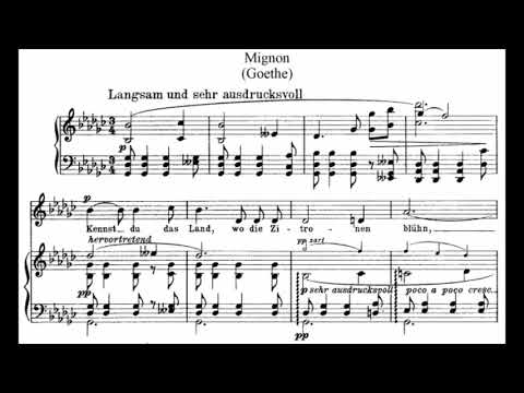 Wolf - Mignon Lieder