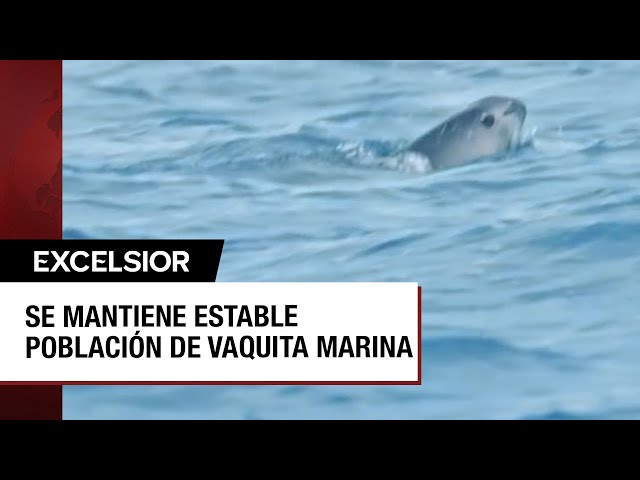 Youtube Imagen